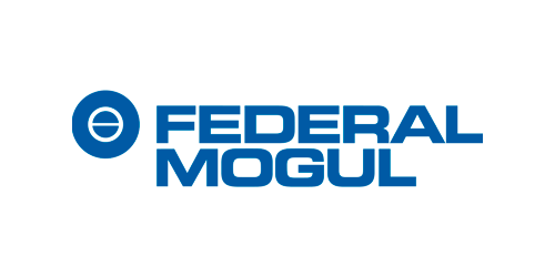 Federal Mogul